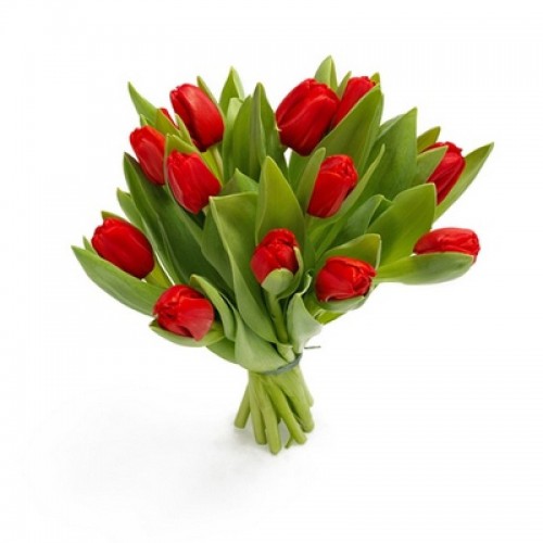 11 красных тюльпанов (11 - 101)