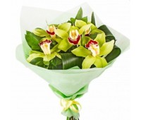 Букет из зелёных орхидей (9 - 21)