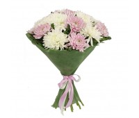 Букет из белых и розовых хризантем (7 — 101) 