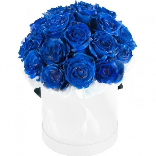 Синие розы в белой коробке (15, 25, 35, 51)