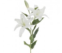 Белая лилия (без запаха)