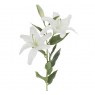 Белая лилия (без запаха)