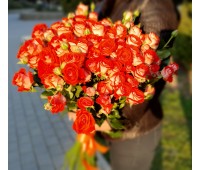 Оранжевая кустовая импортная роза (60  см)