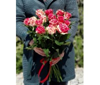 Крымская роза "Арлекино"