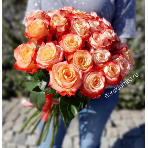 25 импортных персиковых роз   