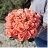 25 крымских розовых роз "Анна Карина"
