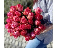 25 импортных роз Carousel  