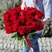 25 красных голландских роз