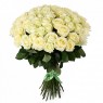 51 голландская белая роза 60 см