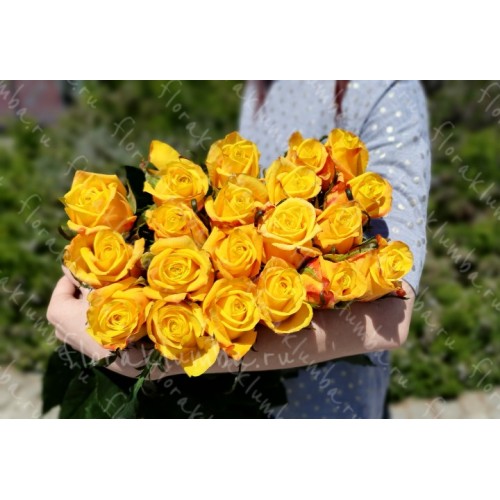 25 жёлтых крымских роз  