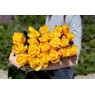 25 жёлтых крымских роз  