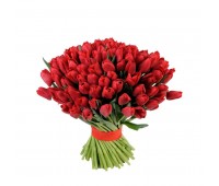 101 красный тюльпан (51, 31)