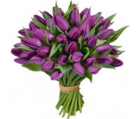 31 фиолетовый тюльпан (11 - 101) 