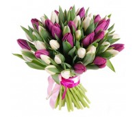 51 фиолетовый и белый тюльпан (от 11 до 101)